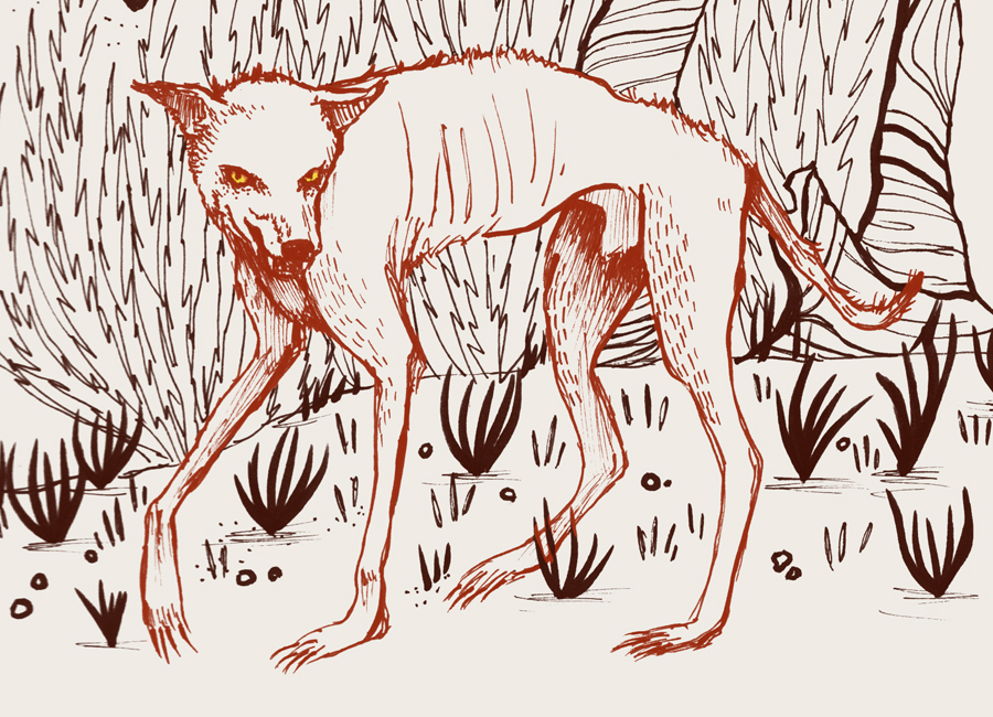 --30-- illustration